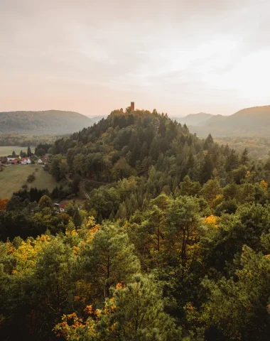 Le Parc Naturel Régional des Vosges du Nord