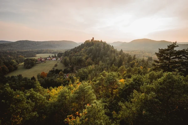 Le Parc Naturel Régional des Vosges du Nord