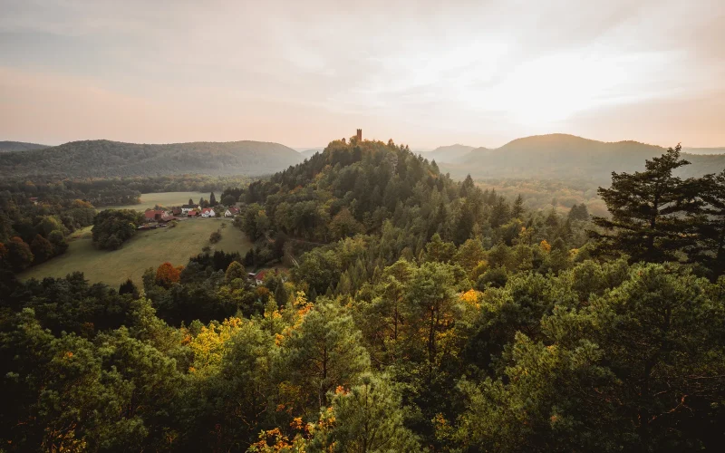 Le Parc Naturel Régional des Vosges du Nord