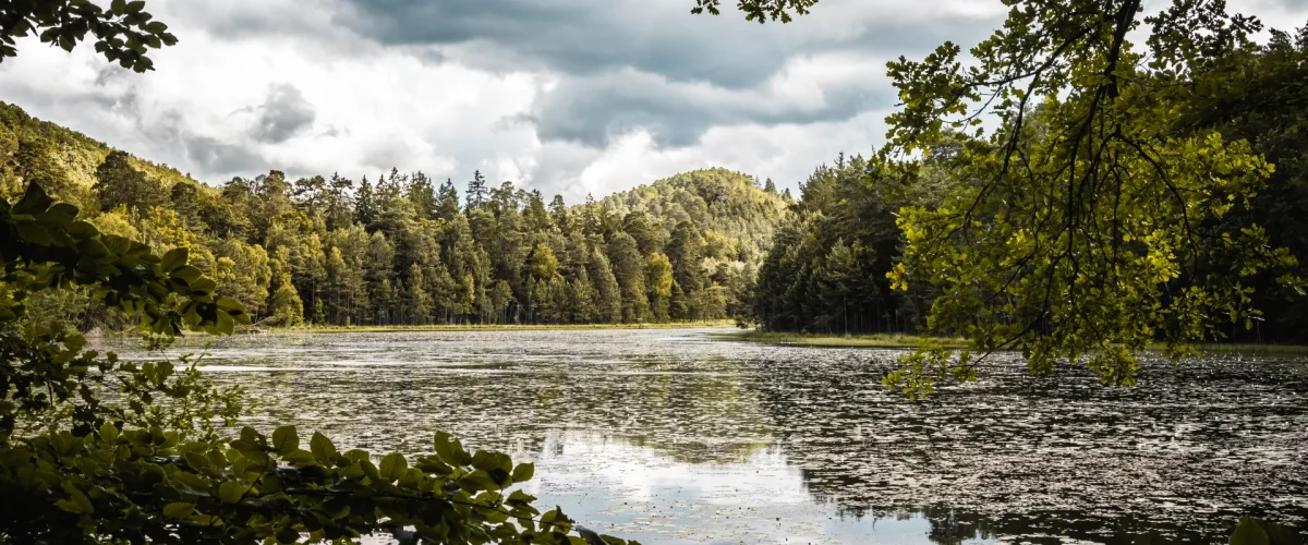 Entre forêts et étangs