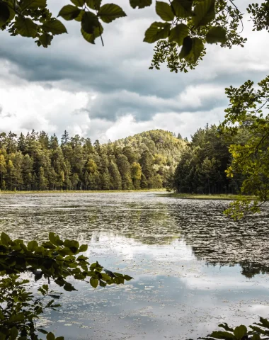 Entre forêts et étangs