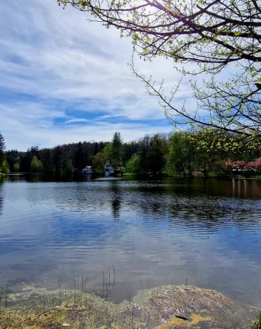 Week-end divertissant et épicurien dans le Pays de Bitche