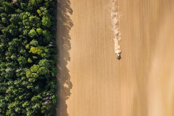 Le Parc Naturel Régional des Vosges du Nord