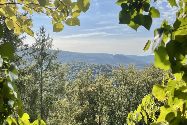 Le Parc Naturel Régional des Vosges du Nord