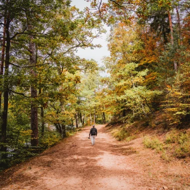 L’automne au Pays de Bitche