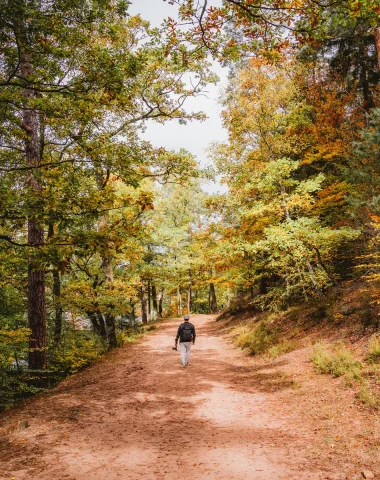 L’automne au Pays de Bitche