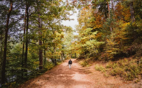 ATELIER – MOSAÏQUE D’AUTOMNE