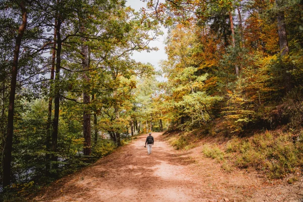 L’automne au Pays de Bitche