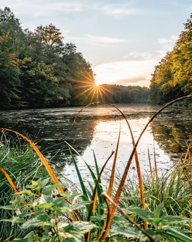 L’Etang de Hasselfurth