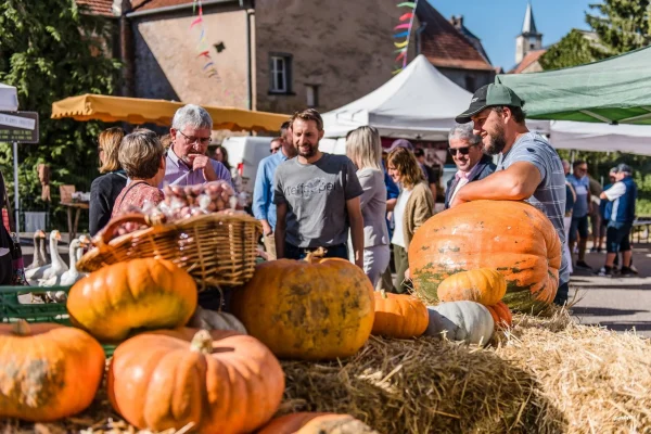 L’automne au Pays de Bitche