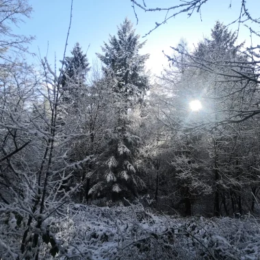 Une journée d’hiver au Pays de Bitche