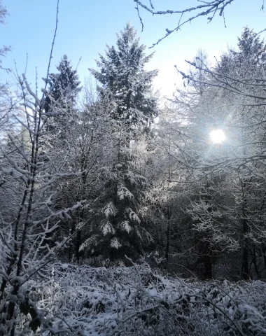 Une journée d’hiver au Pays de Bitche